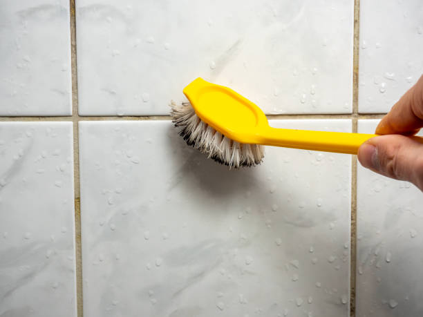 Best Mold Removal Company Near Me  in Pine Mountain Lake, CA