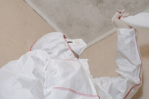 Best Mold Cleaning Services  in Pine Mountain Lake, CA